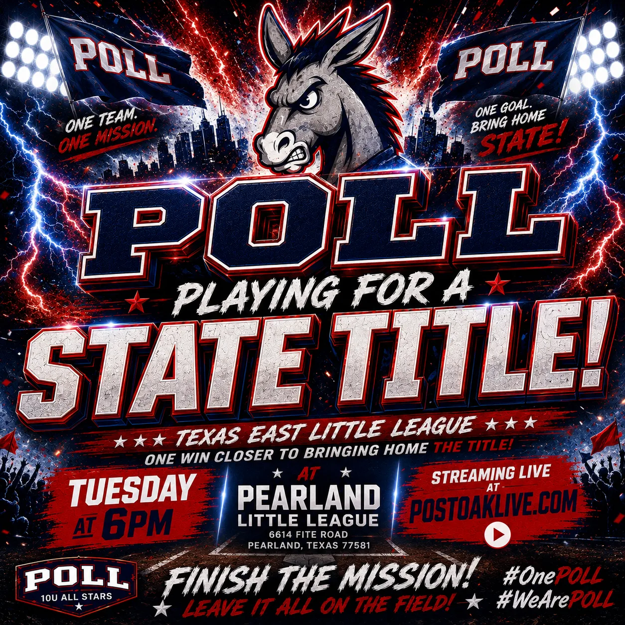 Post Oak 10U All Stars Texas East State Championship promotional poster
